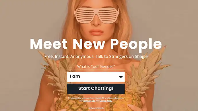 Shagle homepage screenshot - private random adult video chat